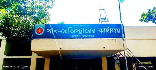 image-here
